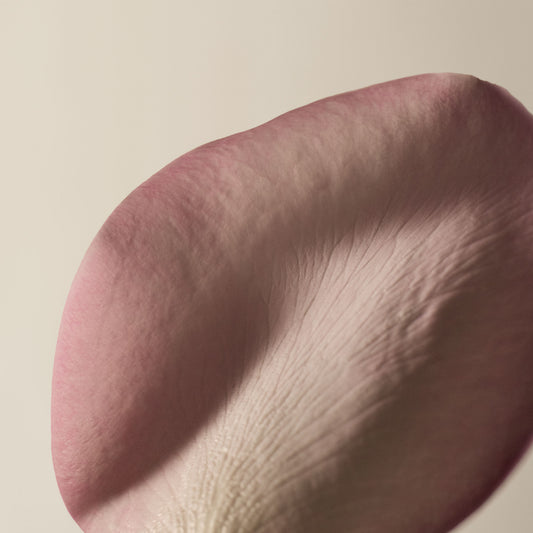 A Rose By Any Other Name Body Cleanser
