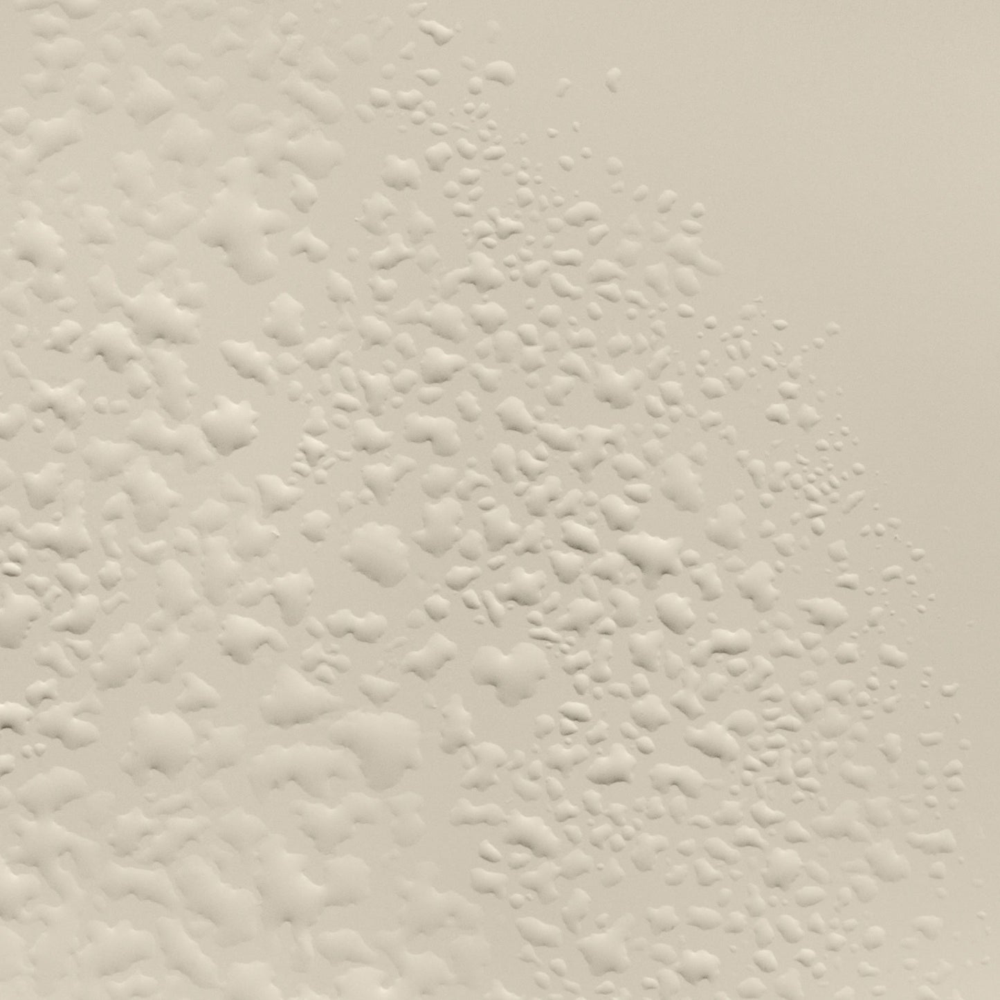 Geranium Leaf Body Scrub